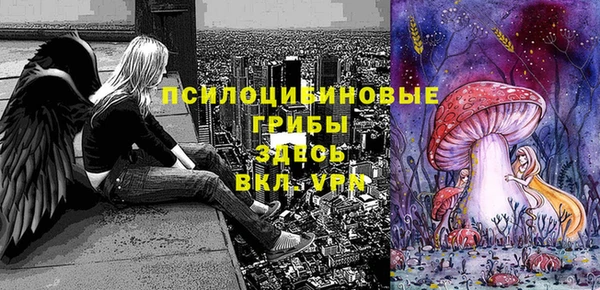 mdma Богородицк
