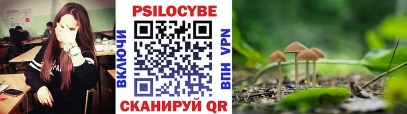 купить наркотики сайты  Дагестанские Огни  Галлюциногенные грибы Psilocybine cubensis 